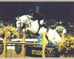 stallion Jumpilot (KWPN (Royal Dutch Sporthorse), 1991, from Pilot)