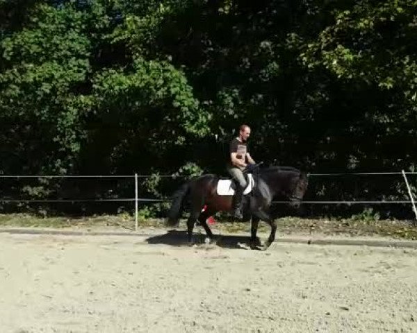 Video of Eclaire