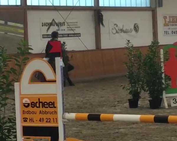 Video of Chakalaka 11