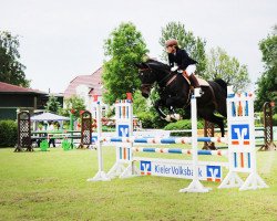 jumper C'est Annelie (Hanoverian, 2004, from Contendro I)