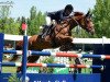 broodmare Questina (Oldenburg show jumper, 2005, from Quidam's Rubin)