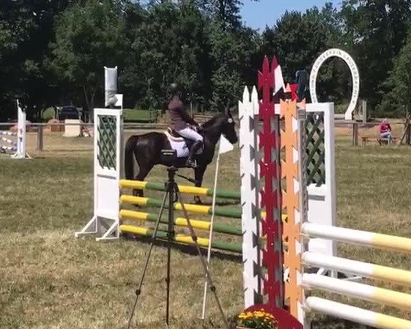 Video von D' Artagnan 6