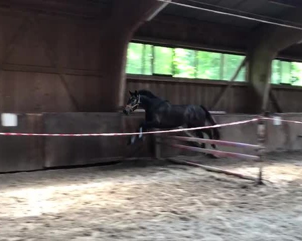 Video of Valentina