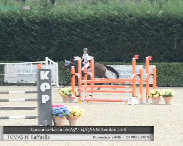 Video of Nigel S