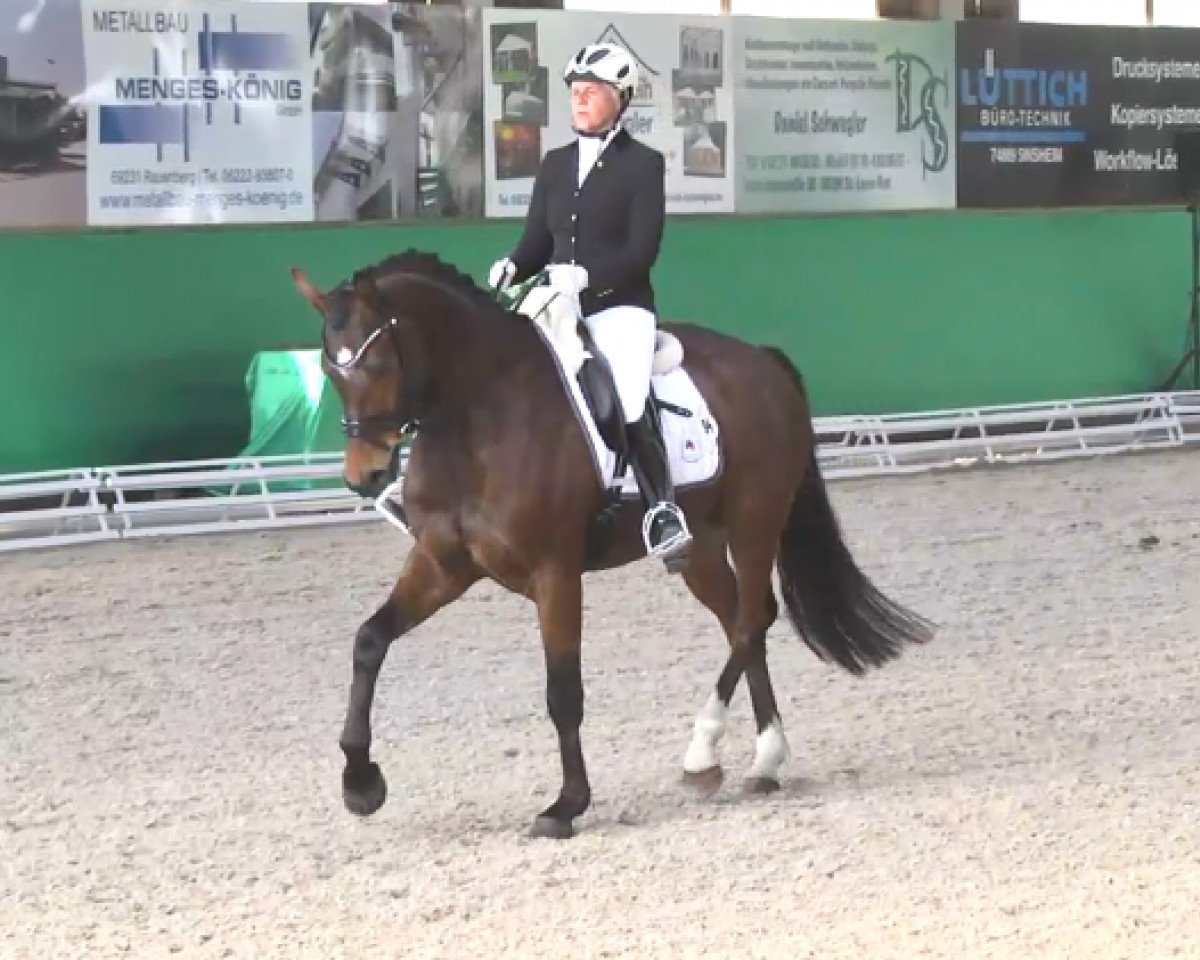 dressage horse Feeling Good H (Hanoverian, 2008, from Fürst Grandios)