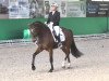 dressage horse Feeling Good H (Hanoverian, 2008, from Fürst Grandios)