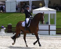 dressage horse Higgins 57 (Hanoverian, 2005, from His Highness)