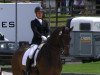 dressage horse Flavio M (Hanoverian, 2006, from Fürst Heinrich)