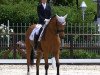 dressage horse Flaeder Af Hagalund (Swedish Warmblood, 2004, from Florencio I)