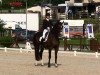 dressage horse Vanqueur (KWPN (Royal Dutch Sporthorse), 2002, from Negro)