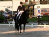 dressage horse Don Darwin (Oldenburg, 2003, from Don Schufro)