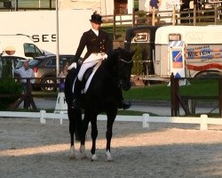 dressage horse Don Darwin (Oldenburg, 2003, from Don Schufro)