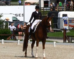 dressage horse Dixieland 32 (Hanoverian, 2001, from De Niro)