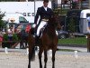 dressage horse Flavio (Hanoverian, 2003, from Florestan I)