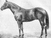 stallion Cyclonic xx (Thoroughbred, 1925, from Hurry On xx)