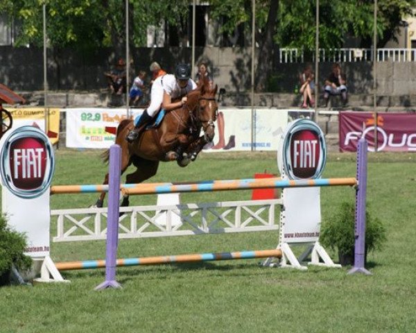 jumper Babér (Hungarian Warmblood, 1999, from Koppány)