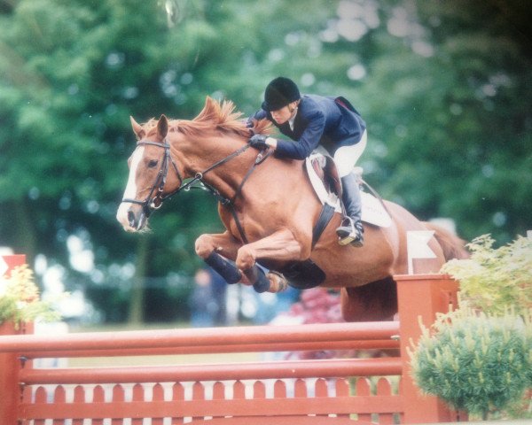 broodmare Uranie d'Enocq (Selle Français, 1986, from Lyrelon AA)