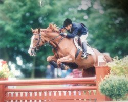 broodmare Uranie d'Enocq (Selle Français, 1986, from Lyrelon AA)