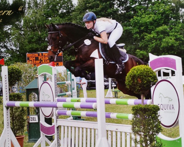 jumper Pik"r 7 (German Riding Pony, 2009, from FS Pour l'Amour)