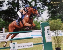 jumper Blessed Hunter (KWPN (Royal Dutch Sporthorse), 2006, from Ukato)