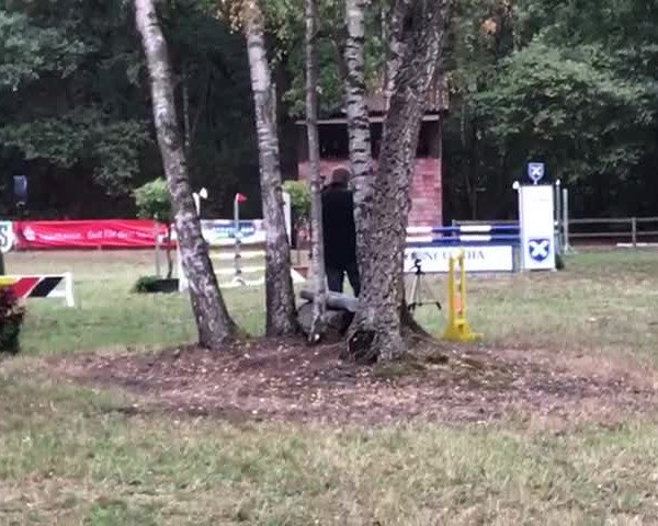 Video of Caydence