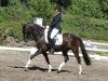 dressage horse Mama Mia (German Riding Pony, 1998, from Nino The Champ)