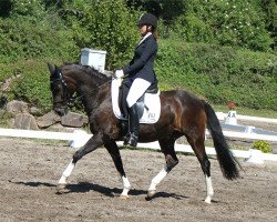 dressage horse Mama Mia (German Riding Pony, 1998, from Nino The Champ)