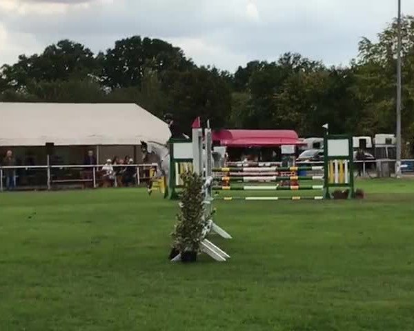 Video of Caydence