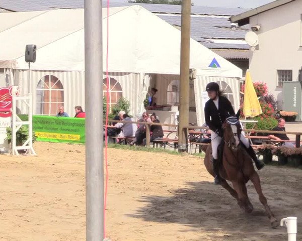 Waltroper Reitertage 2018