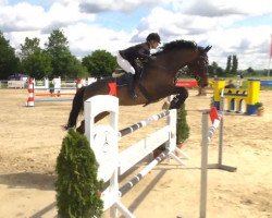 jumper Lassalle II (Hanoverian, 1998, from Laptop)