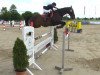 jumper Cantos B (German Sport Horse, 2004, from Cardenio)