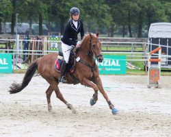 jumper Lucky You (German Riding Pony, 2002, from Lucky Strike)