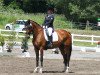 dressage horse Pastice (Trakehner, 2006, from Cadeau)