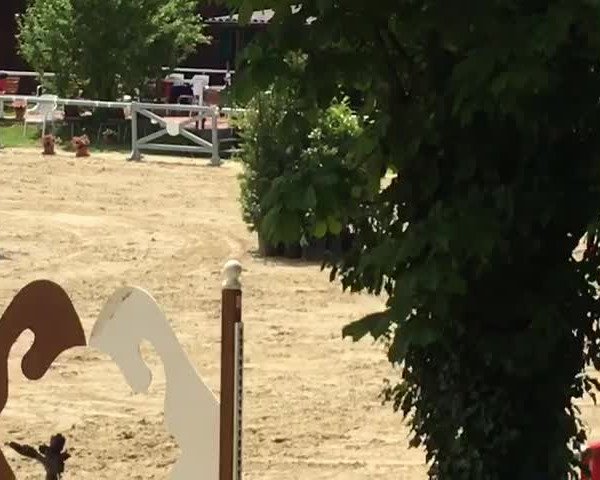 Video von Graf Tunichtgut S