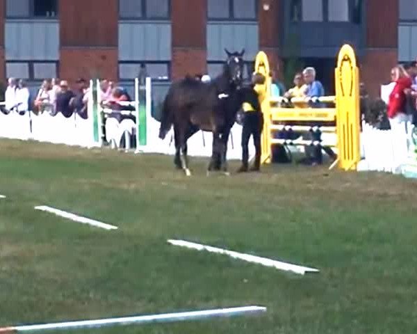 Video of Dark Ruby