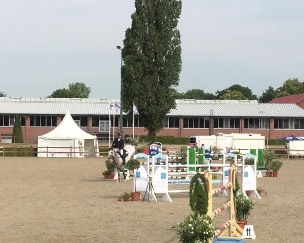 Video of Clarano