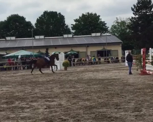 Video von Hello Pezi