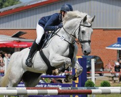 jumper Celana 5 (Oldenburg show jumper, 2003, from Celano)