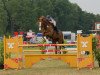 jumper Casual Guy (Oldenburg, 2006, from Chalan)