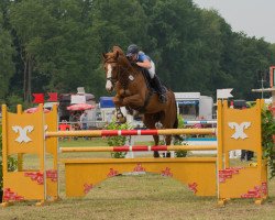 jumper Casual Guy (Oldenburg, 2006, from Chalan)