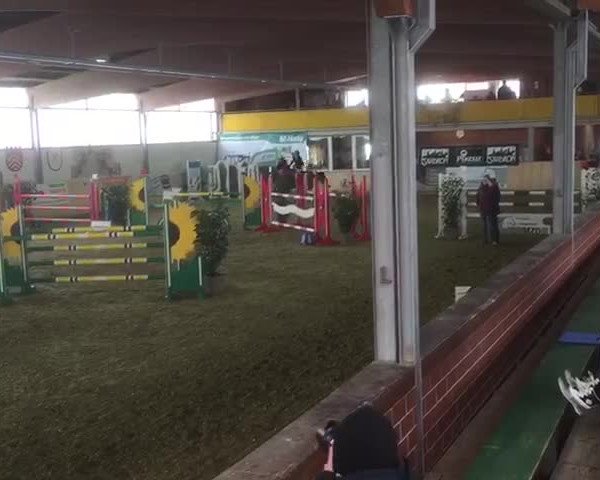 Reitturnier Borgholzhausen-Westbarthausen 2018