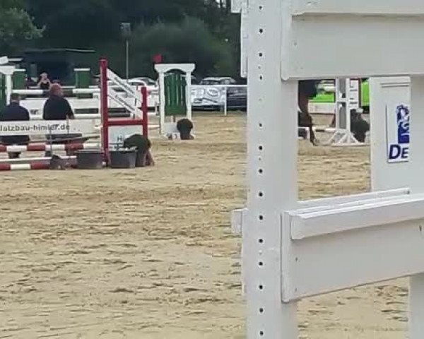 Reitturnier Ostenfelde-Vornholz 2017