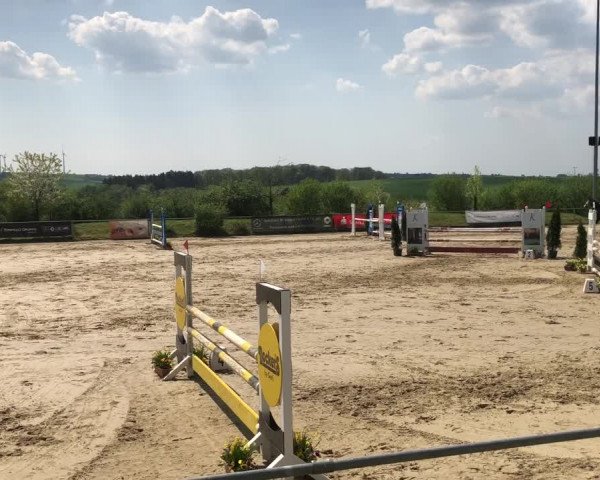 Reitturnier Pirmasens-Winzeln 2018