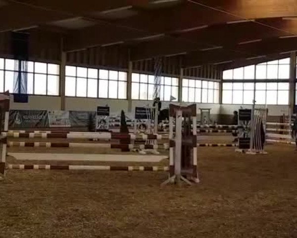 Video of For Glory 4