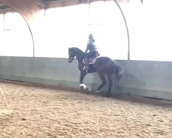 Video of Liquer 3