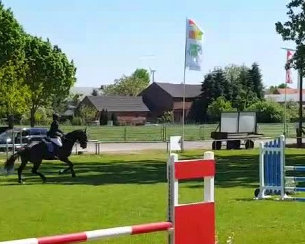Video of Liquer 3