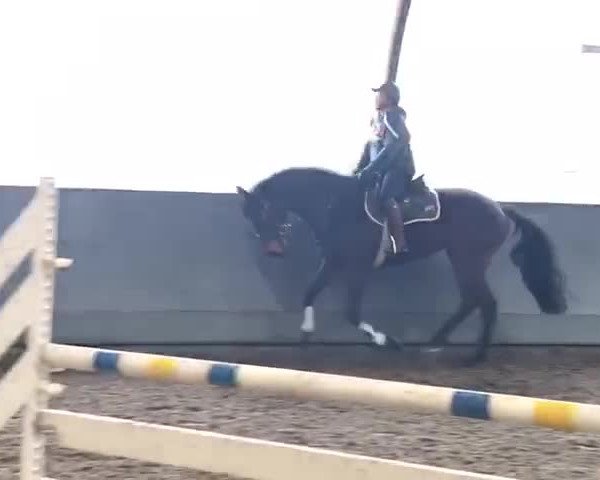 Video of Liquer 3