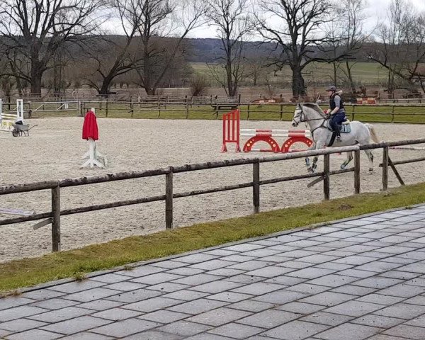Video of Cooper 185