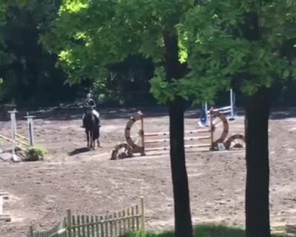 Video of Querjac de L'Ain