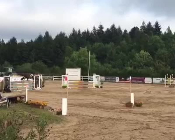 Video of Querjac de L'Ain